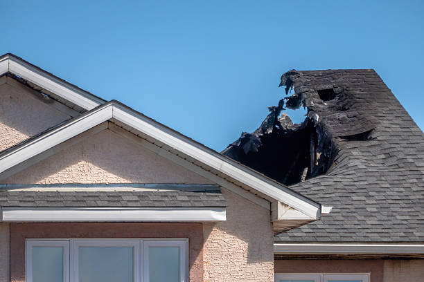 Top rated local Fire Damage Restoration specialists in Cedar, MN